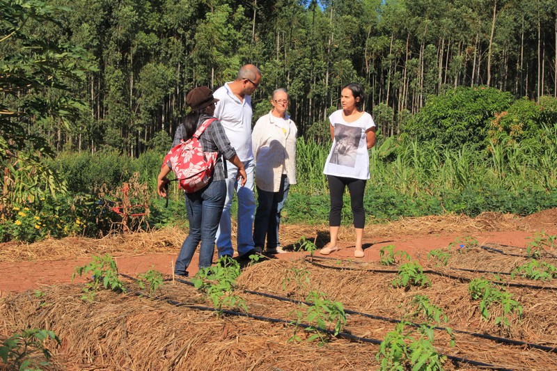 Edio Lopes visita curso de plantio e dialoga com assentados no Monte Alegre
