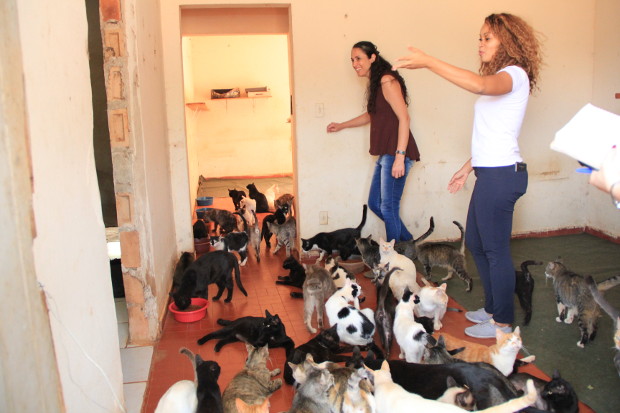 Thainara e gestora de Zoonoses discutem multa para abandono de animais