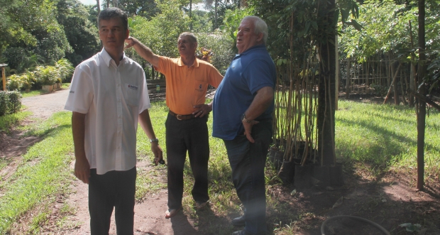 Parlamentares questionam abandono em viveiros de mudas