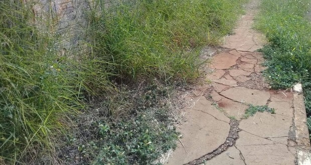 Calçadas e canteiros na Avenida 22 de Agosto precisam de melhorias