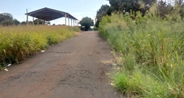 Falta de manutenção em terrenos preocupa moradores e pais de alunos