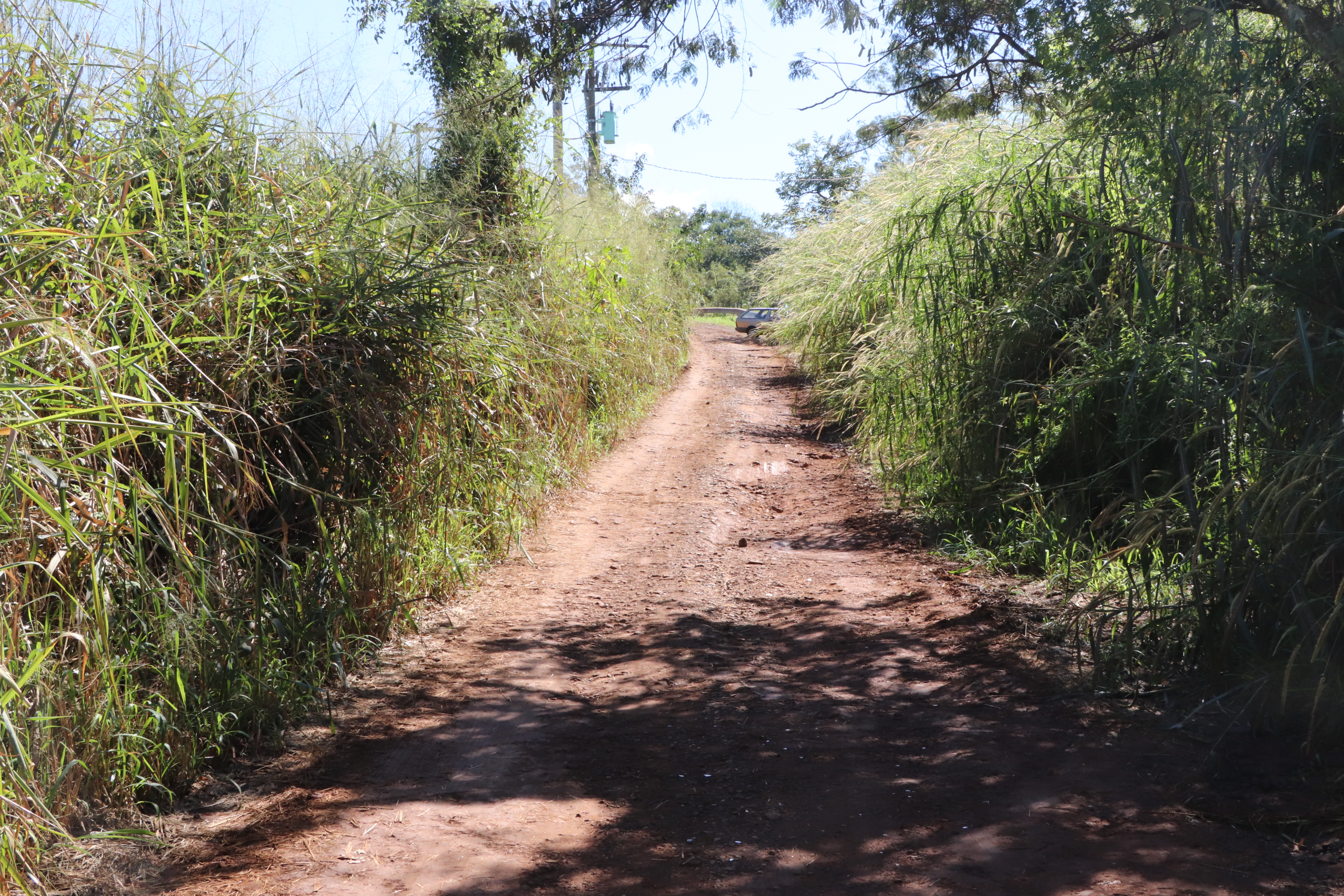 Obras no Valle Verde e bairro dos Machados são fiscalizadas por vereadora