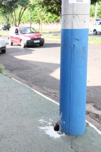 buchechinha