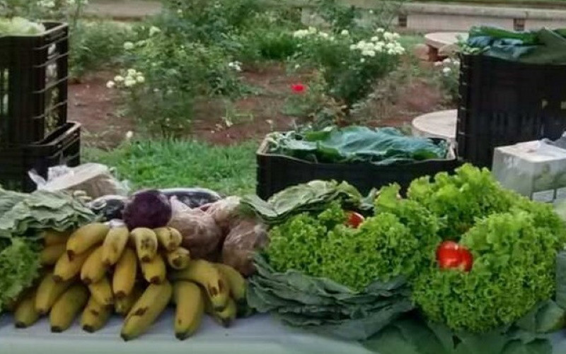 2019930_SITE Semana da Alimentação Saudável