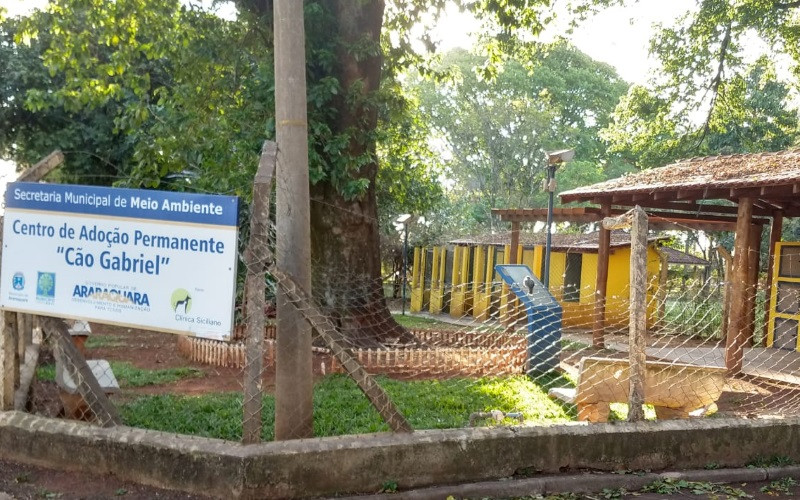 2019102_Abre -Roger Mendes - Centro Adocao Permanente